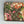 Gucci Blooms Monogram Canvas Wallet on Chain