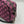 Gucci G Marmont Small Camera Bag - Pink Canvas