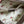 Gucci GG Supreme Monogram Web Neo Vintage Shoulder Bag Beige - Chicago Pawners & Jewelers