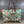 Gucci GG Supreme Tian Tote / Shopper - Chicago Pawners & Jewelers