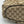 Gucci Monogram Messenger Bag Dark Brown, Zipped