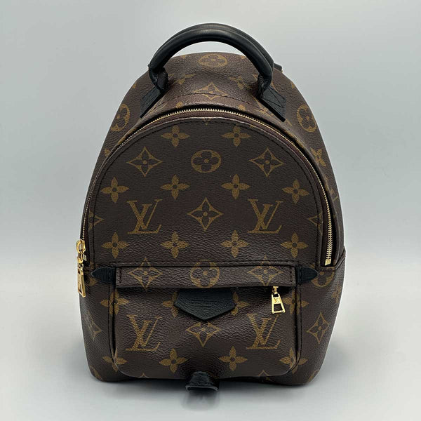 Louis Vuitton Monogram Palm Springs Mini