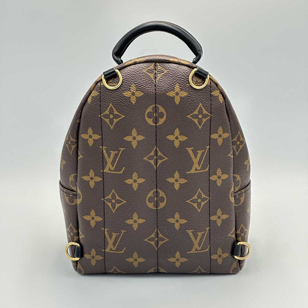 Louis Vuitton Monogram Palm Springs Mini