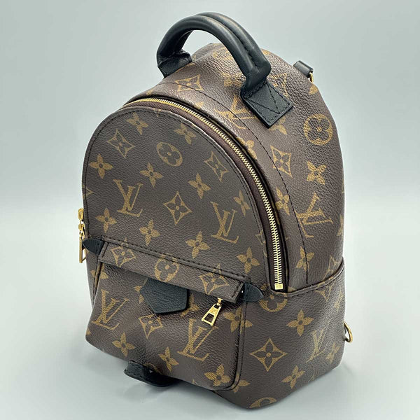 Louis Vuitton Monogram Palm Springs Mini