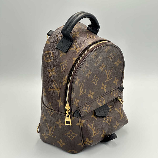 Louis Vuitton Monogram Palm Springs Mini