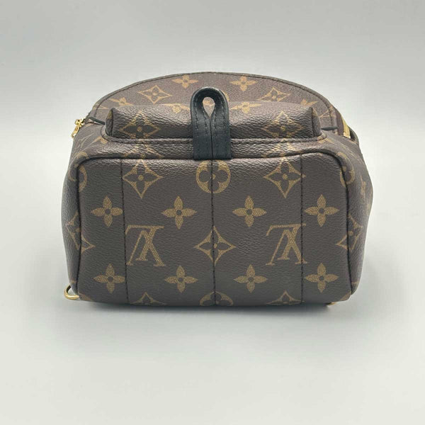 Louis Vuitton Monogram Palm Springs Mini