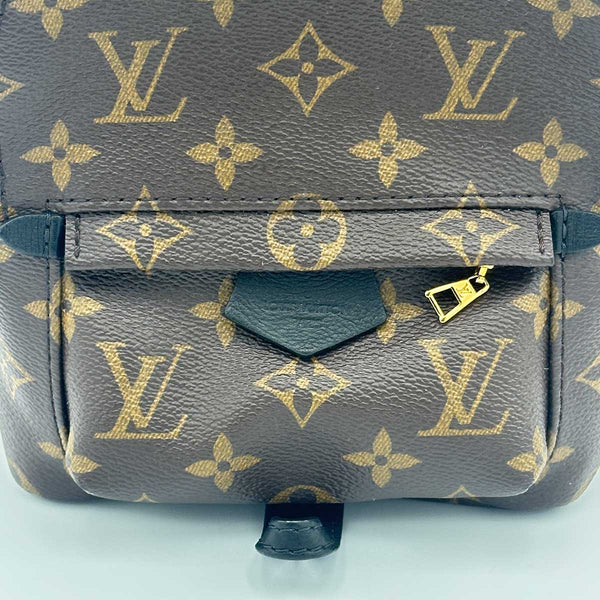 Louis Vuitton Monogram Palm Springs Mini