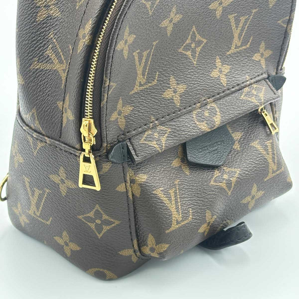 Louis Vuitton Monogram Palm Springs Mini