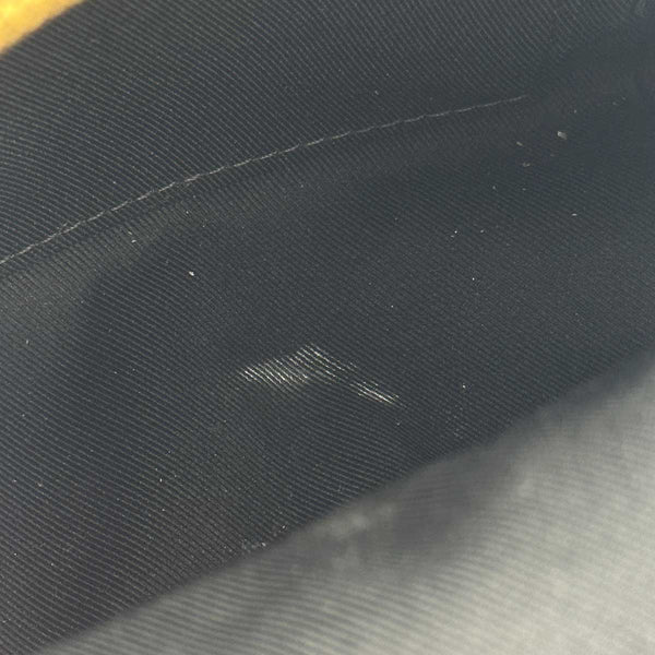 Louis Vuitton Monogram Palm Springs Mini