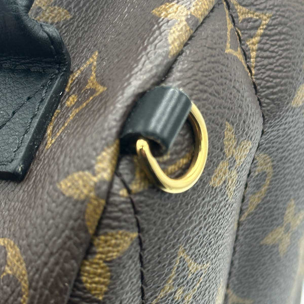 Louis Vuitton Monogram Palm Springs Mini