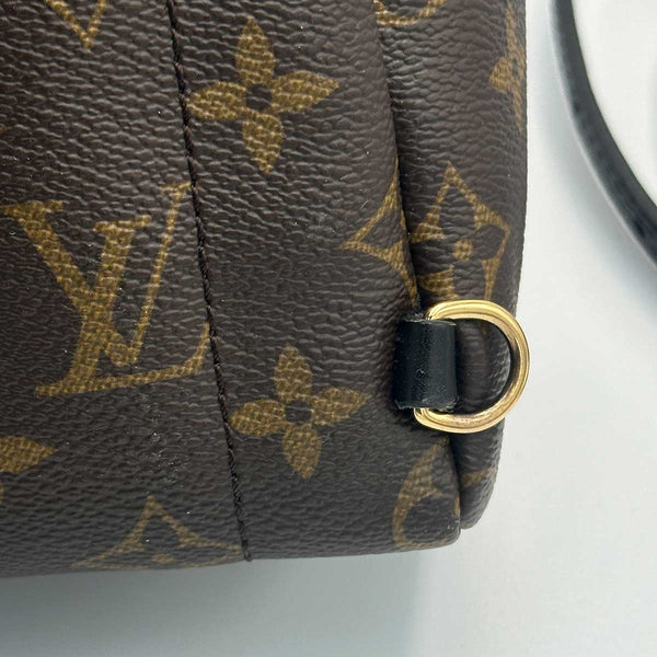 Louis Vuitton Monogram Palm Springs Mini
