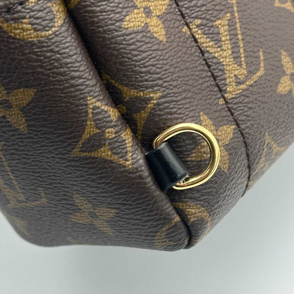 Louis Vuitton Monogram Palm Springs Mini