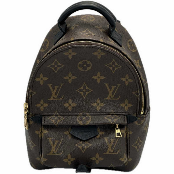 Louis Vuitton Monogram Palm Springs Mini
