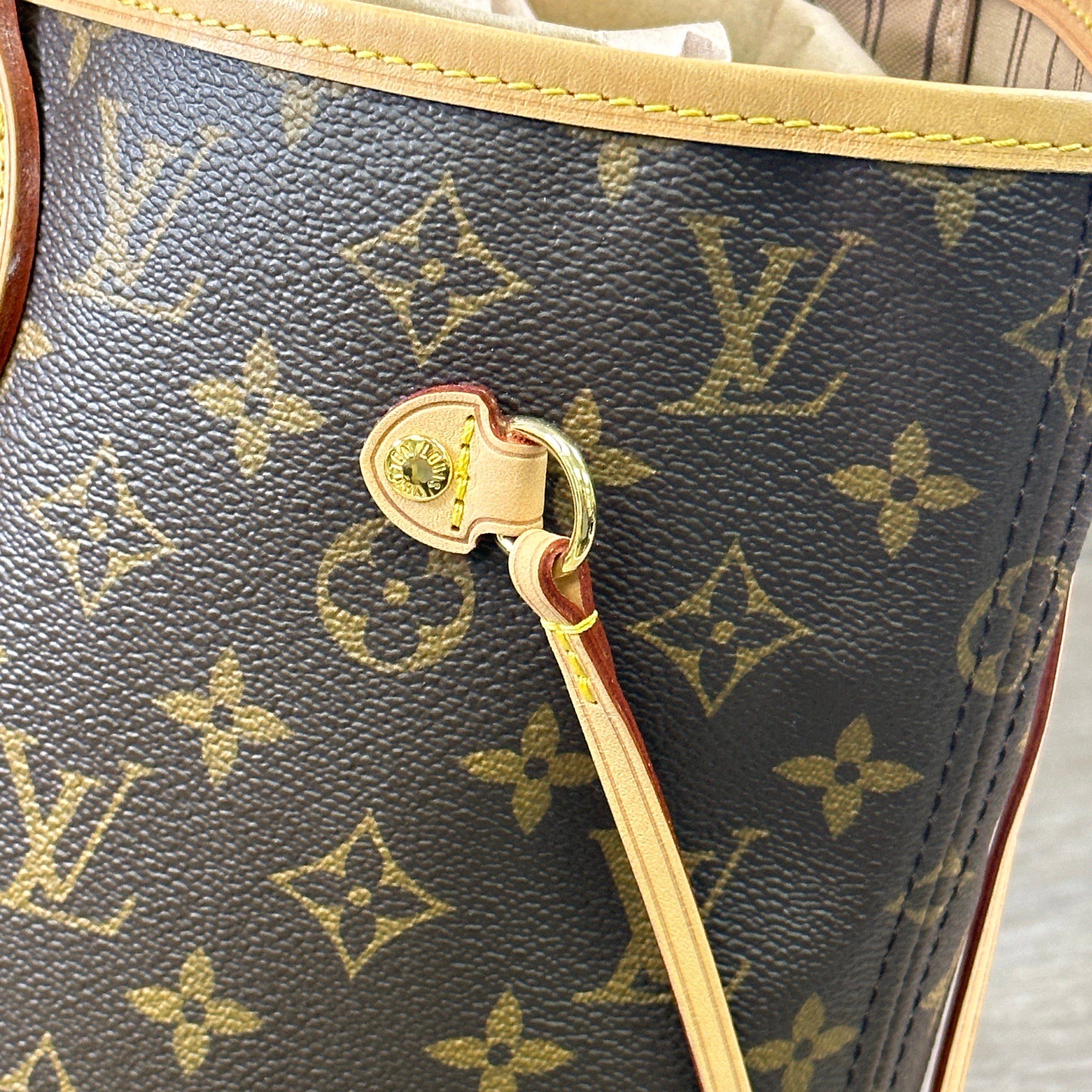 Louis Vuitton Monogram Velvet Neverfull Pochette