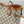 Louis Vuitton Neverfull MM Damier Azur - Braided - Orange