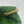 Prada Tessuto Gaufre Shoulder Bag - Green
