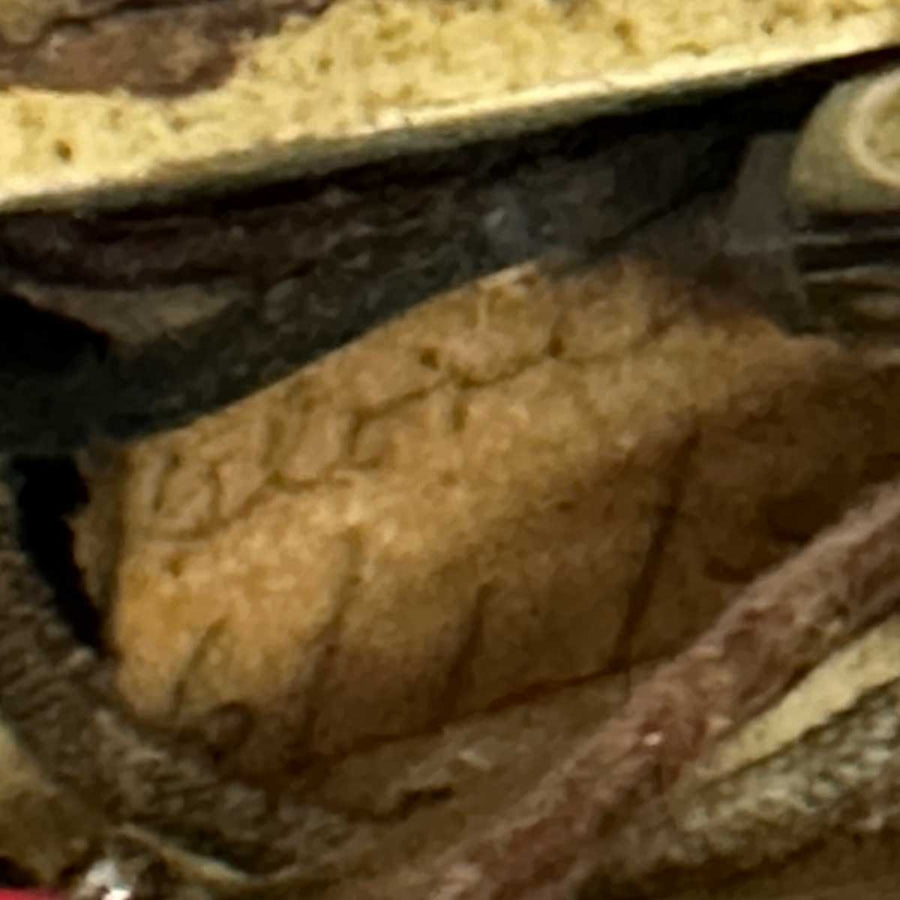 Fender Stringmaster D8 Double Neck Lap Steel - 1955 – Chicago Pawners ...