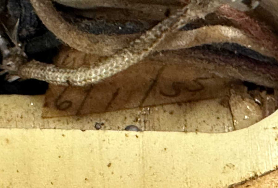 Fender Stringmaster D8 Double Neck Lap Steel - 1955 – Chicago Pawners ...