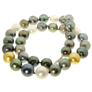 Multi-Color South Sea & Tahitian Pearl Necklace - Chicago Pawners & Jewelers