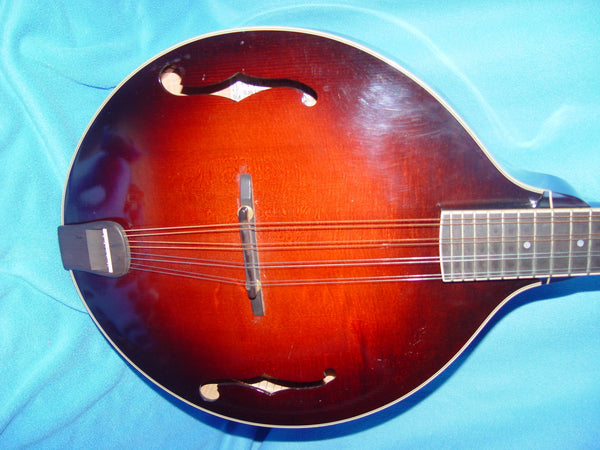 RARE Steven Andersen Mandocello - Chicago Pawners & Jewelers