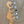 Fender Jazz Bass V 5-String MIM 2000 - Chicago Pawners & Jewelers