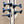 Ibanez SRSC805 DTF  5-String Bass Guitar