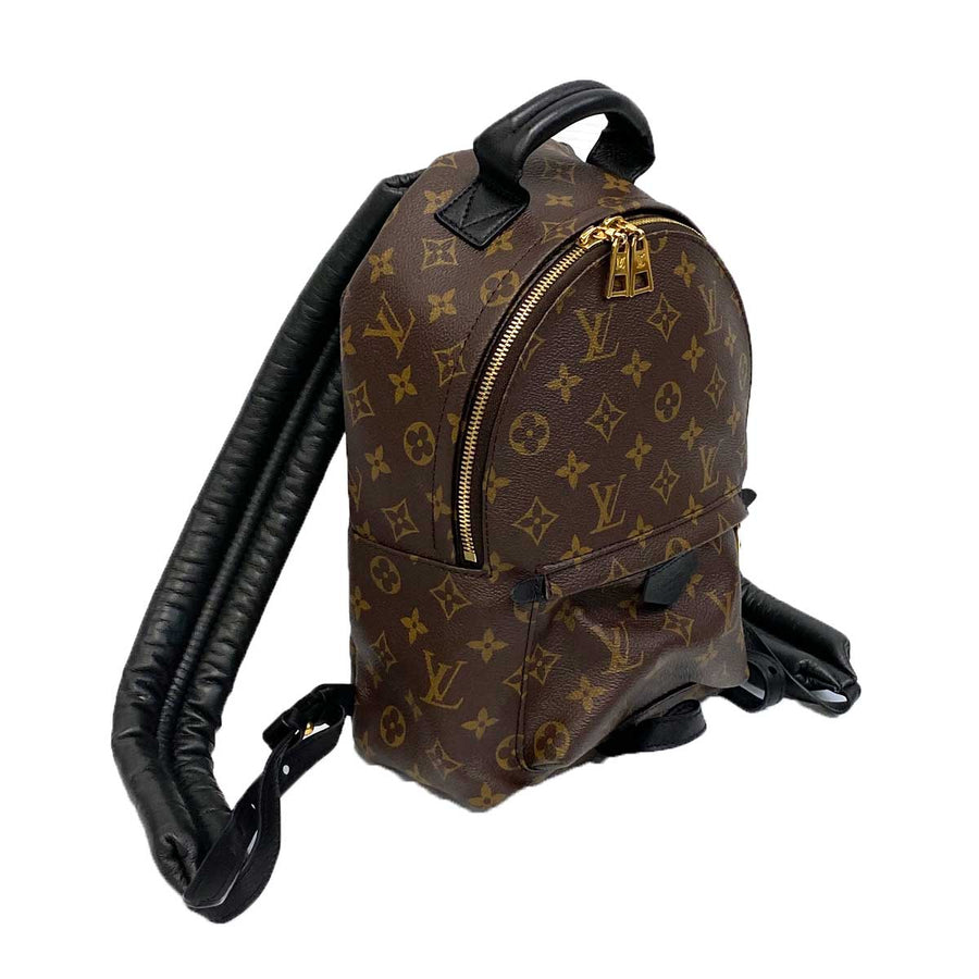 Brown Louis Vuitton Monogram Reverse Palm Springs PM Backpack  Designer  Revival