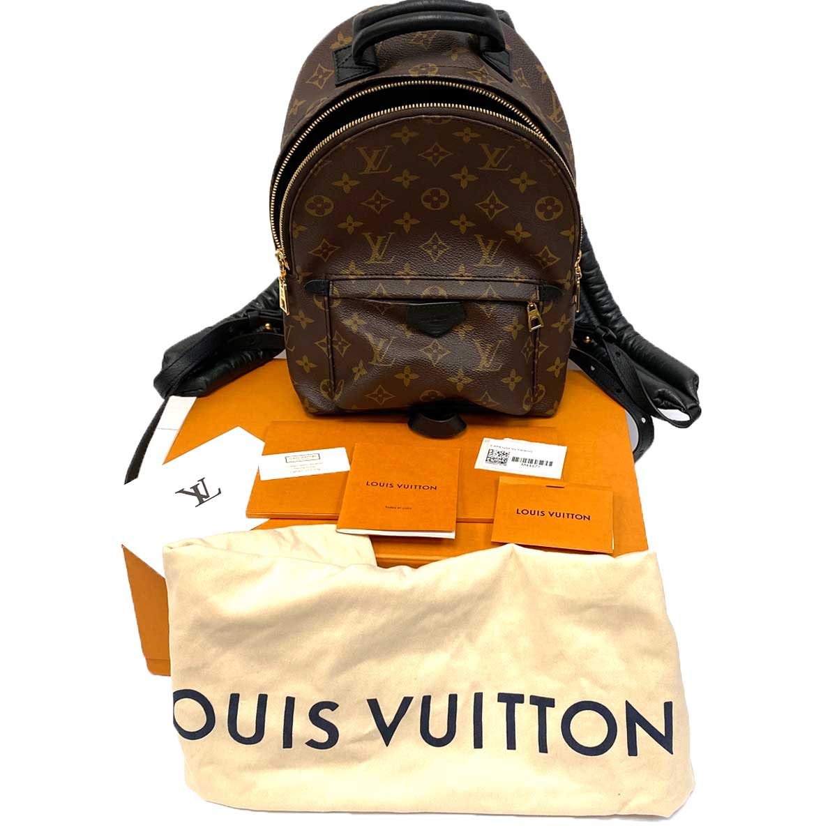 Louis Vuitton Palm Springs Backpack Backpack 346079