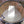Premier Natural Maple Snare Drum - Chicago Pawners & Jewelers